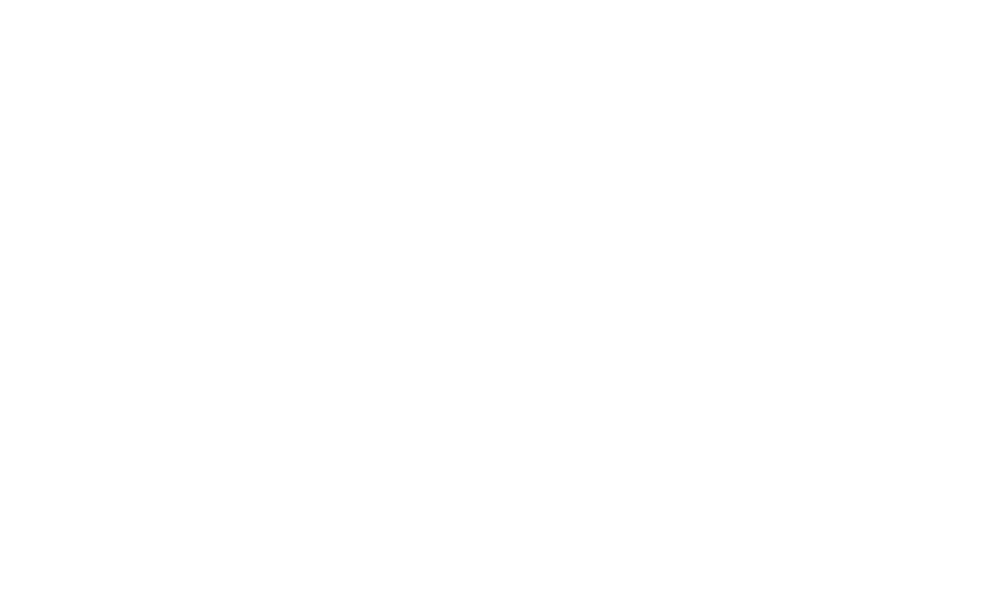 Hi-Pointe Care Solutions